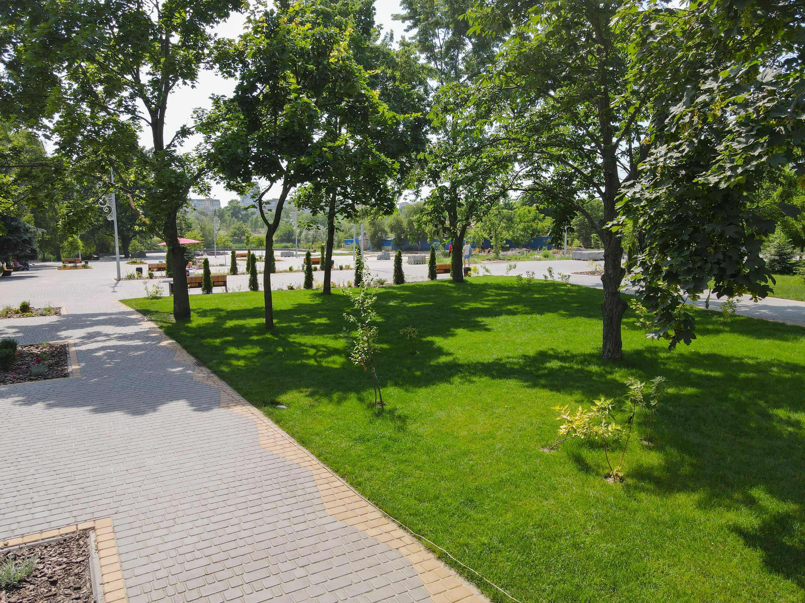 DJI_0708